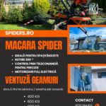 SpidersRent11